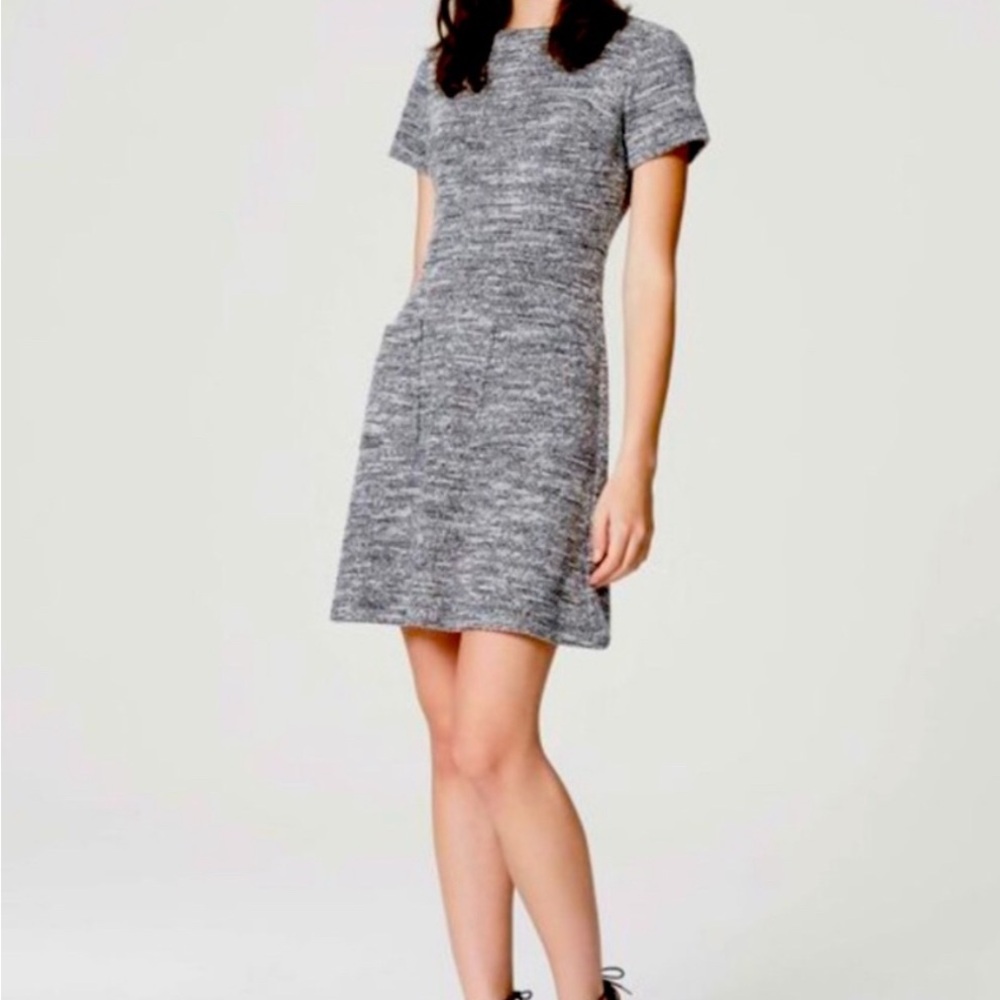 LOFT Black and White Textured Knit Dress size 6P